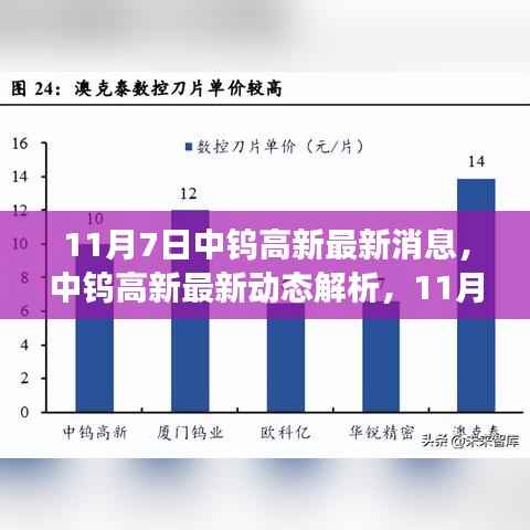 中钨高新最新动态解析，多维视角下的深度解读
