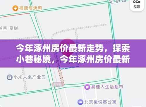 涿州房价最新走势揭秘，小巷秘境中的隐藏瑰宝探索