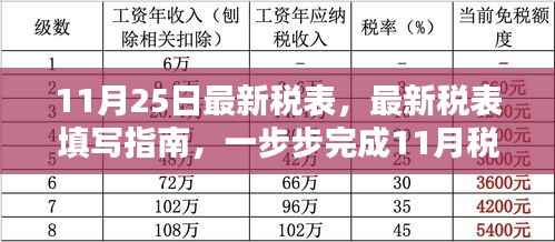 最新税表填写指南，一步步完成11月税表填报，适合初学者与进阶用户