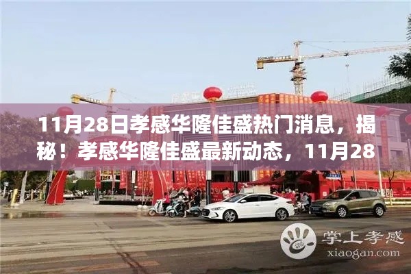 孝感华隆佳盛最新动态揭秘,11月28日震撼更新!