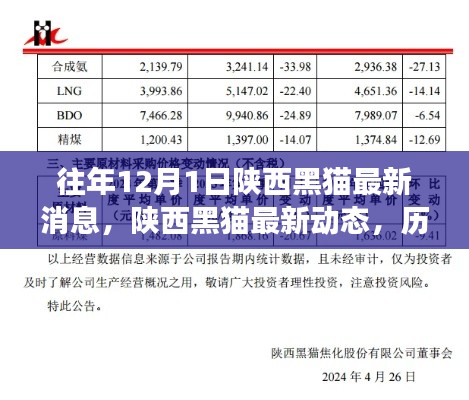 陕西黑猫历年12月1日发展纪实与最新动态