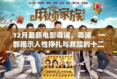 毒诫,揭示人性挣扎与救赎的十二月重磅之作