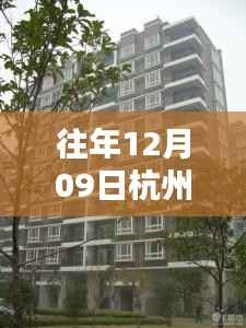 打马虎眼 第2页