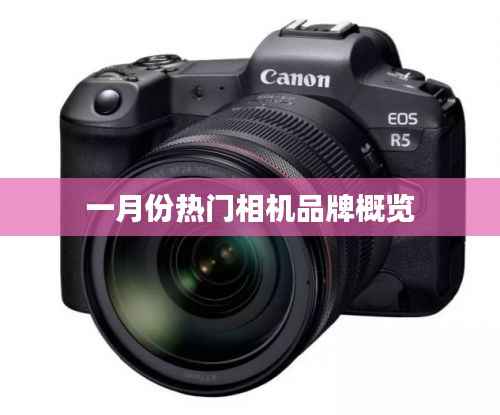一月份热门相机品牌大盘点