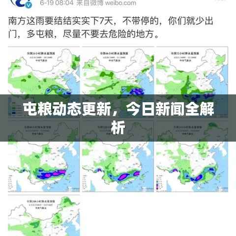 屯粮动态更新，今日新闻全解析