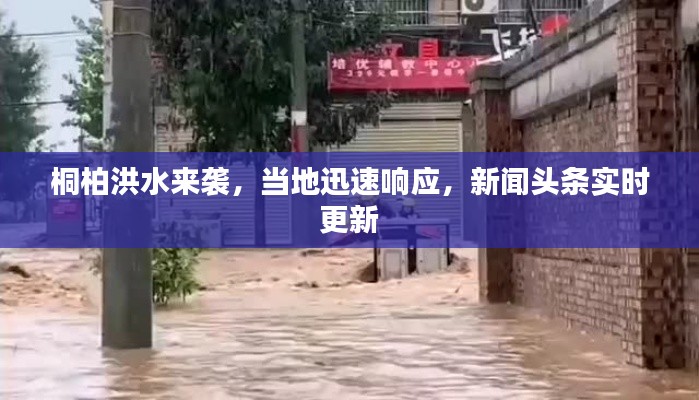 桐柏洪水来袭,当地迅速响应,新闻头条实时更新