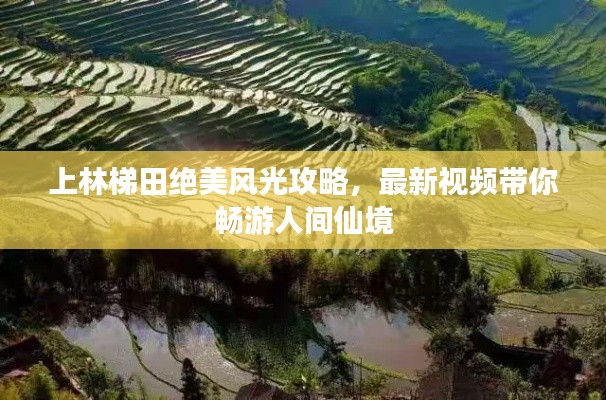 企业优势 第163页