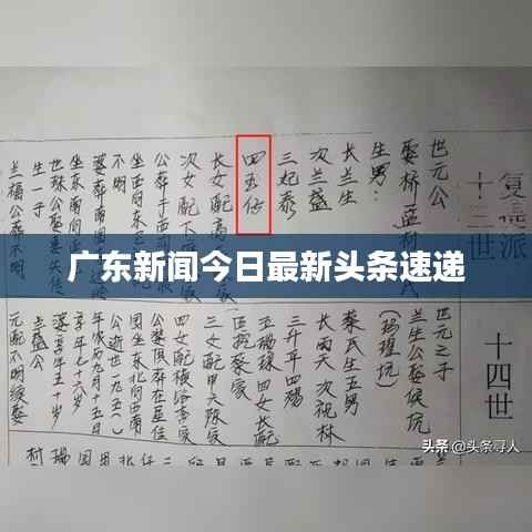 广东新闻今日最新头条速递